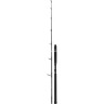 Удилище SHIMANO BEASTMASTER CATFISH LURE 240 SBMCF24200